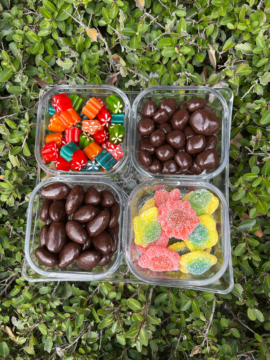 Candy Chocolate Dip Tray